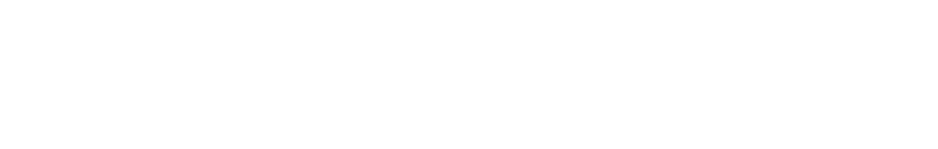 NEON PONY MUSIC Logo